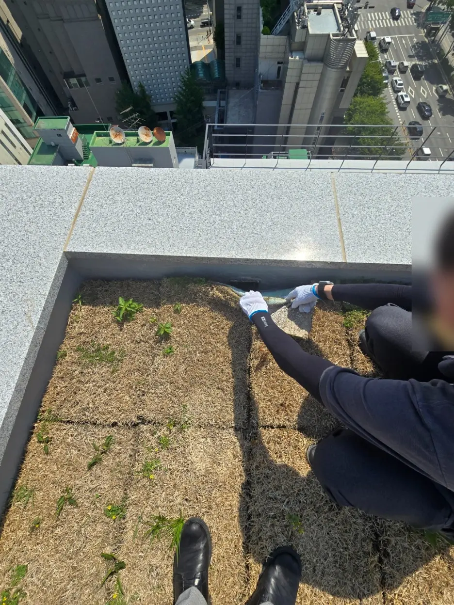 신축 건물 옥상 화단 마감 상태를 확인하는 현장